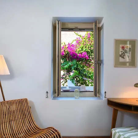 בית נופש Theoni